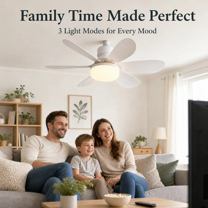 Ceiling Fan Light | 2-in-1 Cooling & Lighting