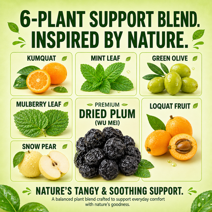 🟣 Premium Aurevia™ Botanical Prune Blend — Support Healthy Weight & Blood Sugar Balance Naturally ⚖️🩸
